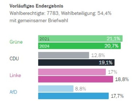 AfD Wiederholungswahl Friedrichshagen