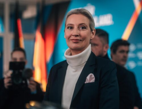 Team Alice Weidel Kanzlerkandidatin