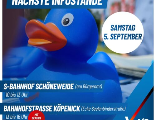 AfD Wahlkampfstand am 05.09.2026